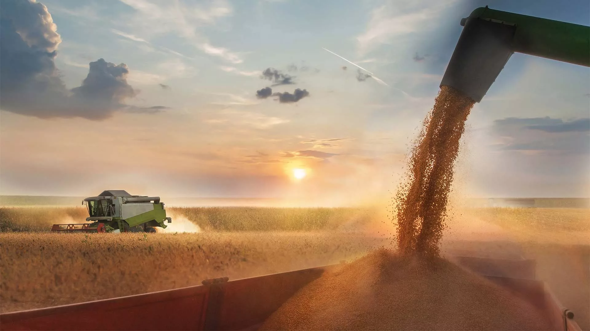 Brazil Soybean Margins Set to Shrink Again Despite Price Rally