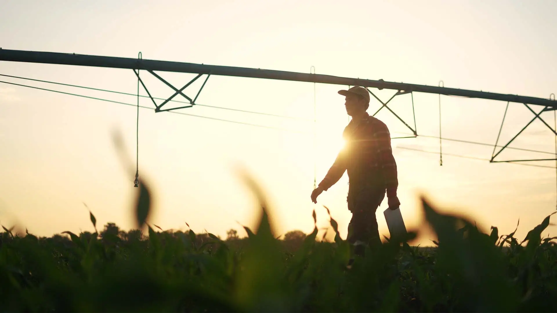 Após rodada, Agroadvance terá curso de graduação em agronomia | Crédito: Schutterstock