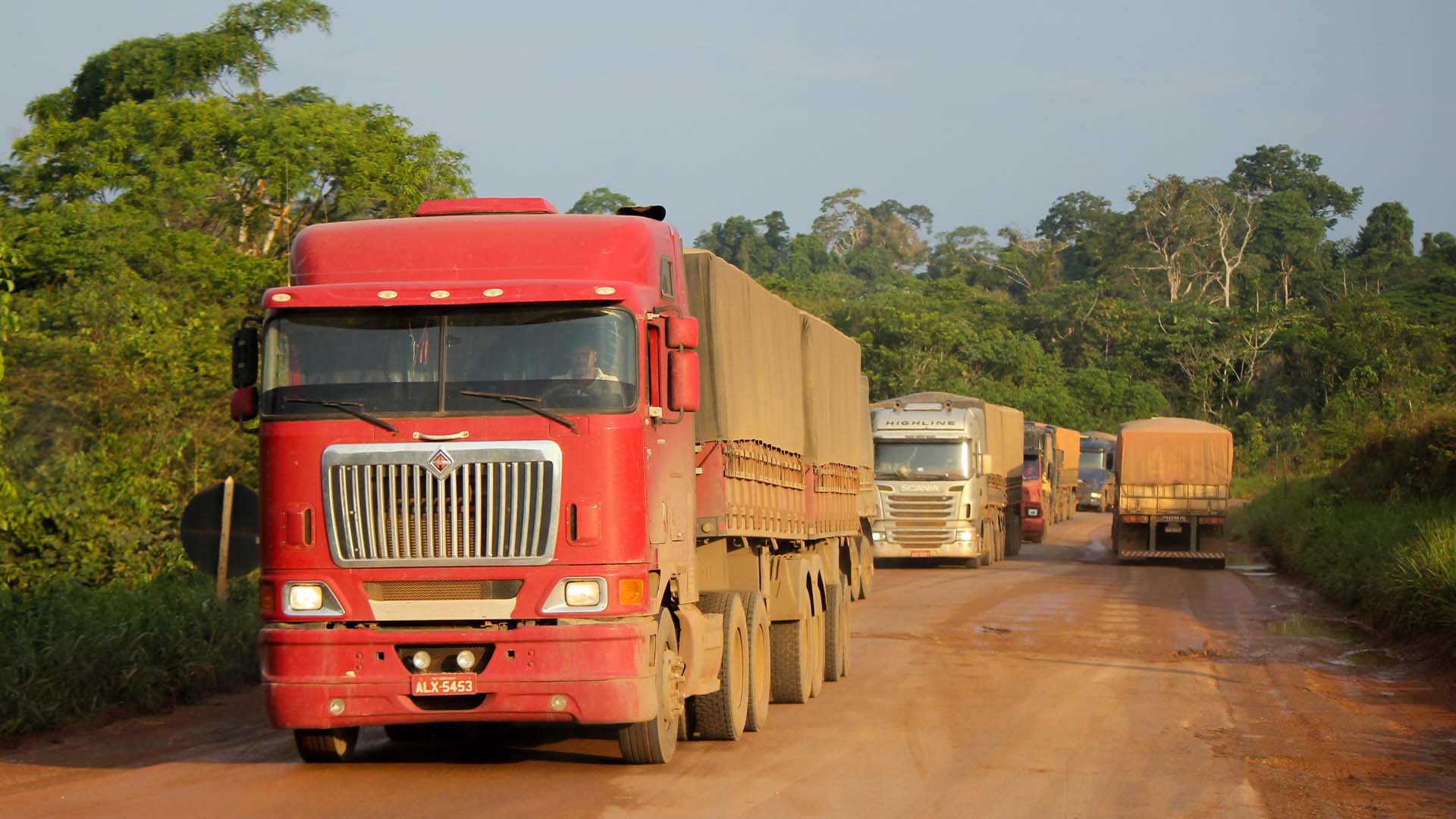 Caminhões na BR-163 em direção a Miritituba | Crédito: Schuterstock