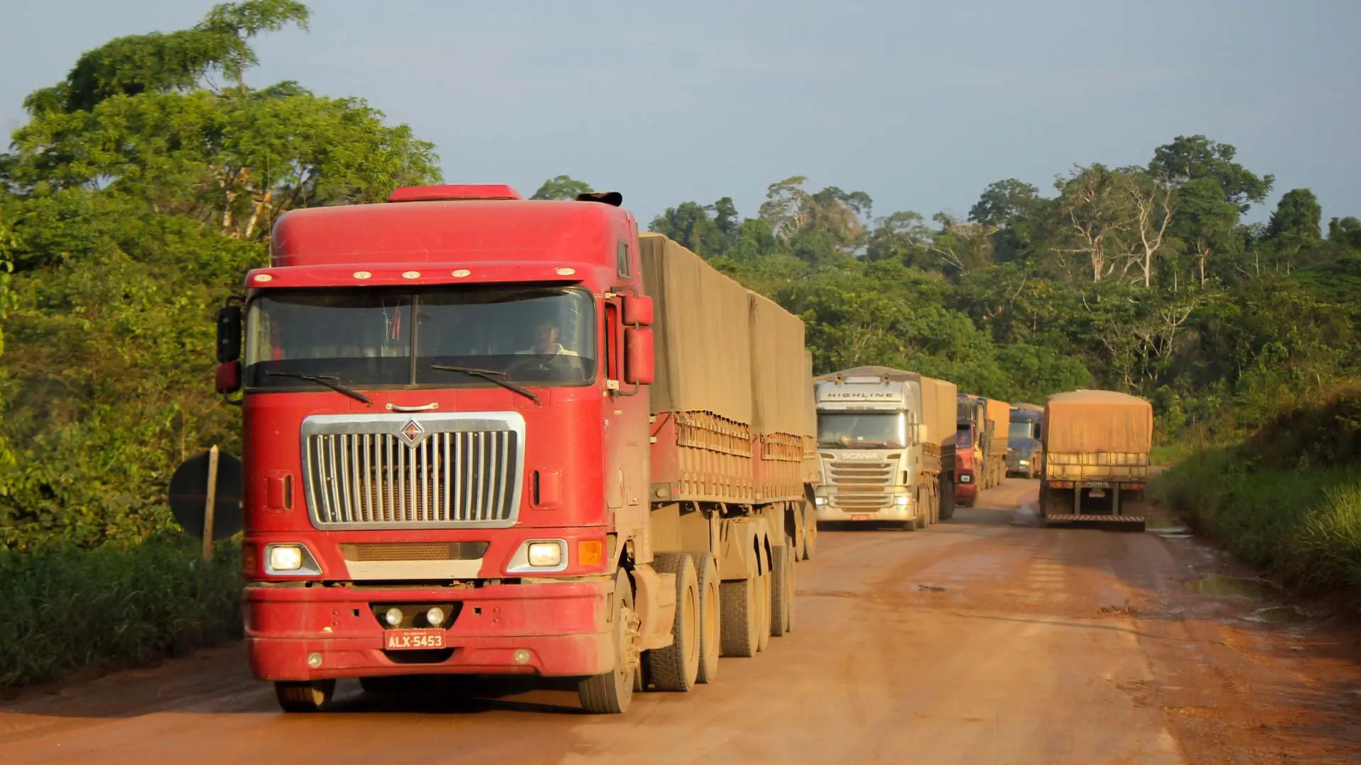 Caminhões na BR-163 em direção a Miritituba | Crédito: Schuterstock