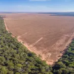 Desmatamento Amazônia