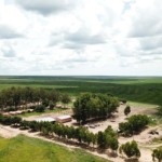 Foto da Fazenda Preferência, vendida pela BrasilAgro