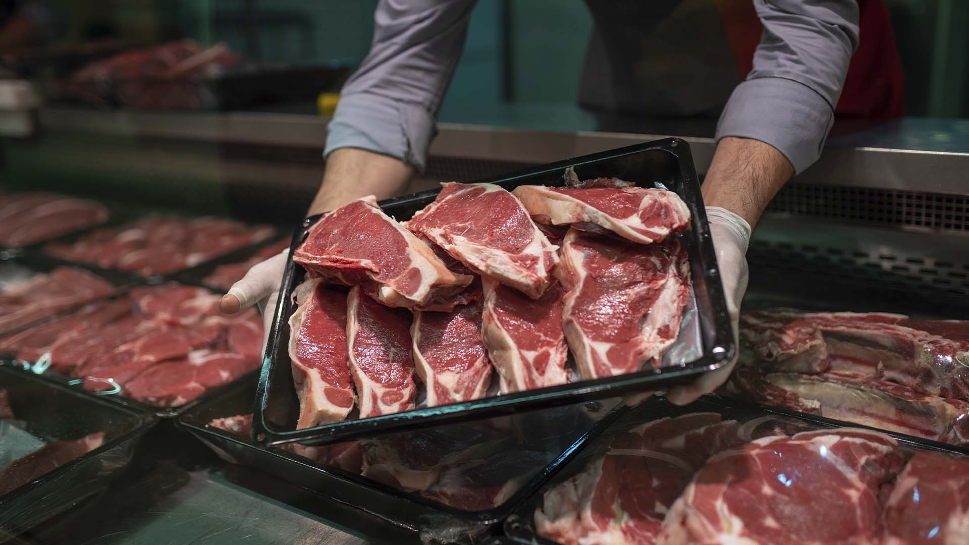 Tarifas de Trump deixam frigoríficos em modo de espera, carnes | Crédito: Schutterstock