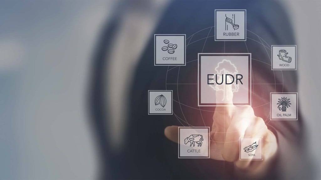 Lei antidesmatamento da UE (EUDR) está em xeque