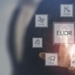 Lei antidesmatamento da UE (EUDR) está em xeque