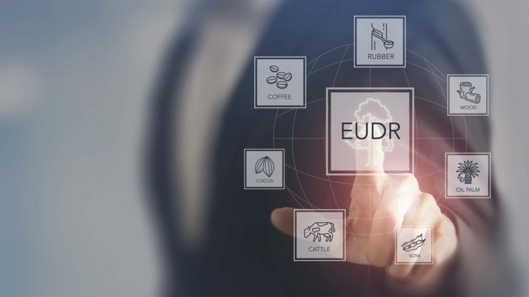 Lei antidesmatamento da UE (EUDR) está em xeque