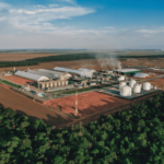 Petrobras afunila conversas com Inpasa e FS, diz Bloomberg