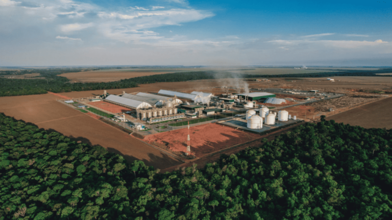Petrobras afunila conversas com Inpasa e FS, diz Bloomberg