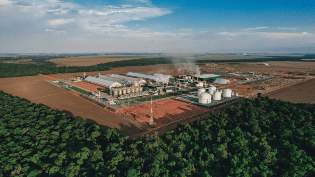 Petrobras afunila conversas com Inpasa e FS, diz Bloomberg
