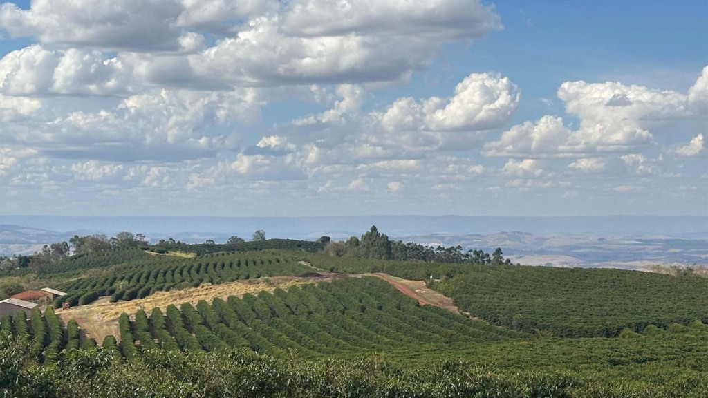Fazenda de café Ponta da Serra em Capetinga (MG), parceira da Nestlé em agricultura regenerativa | Crédito: Karina Souza