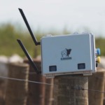 Essa startup pesa bois sem balança, com câmeras 3D e inteligência artificial