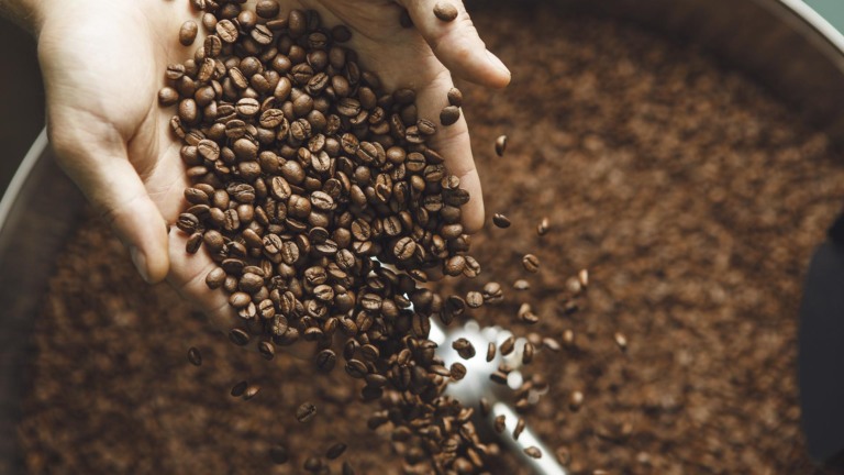 Exportação de café cai 17%, e Alemanha toma primeiro lugar dos EUA