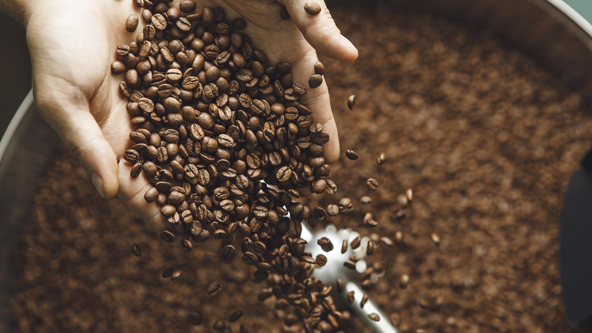Exportação de café cai 17%, e Alemanha toma primeiro lugar dos EUA
