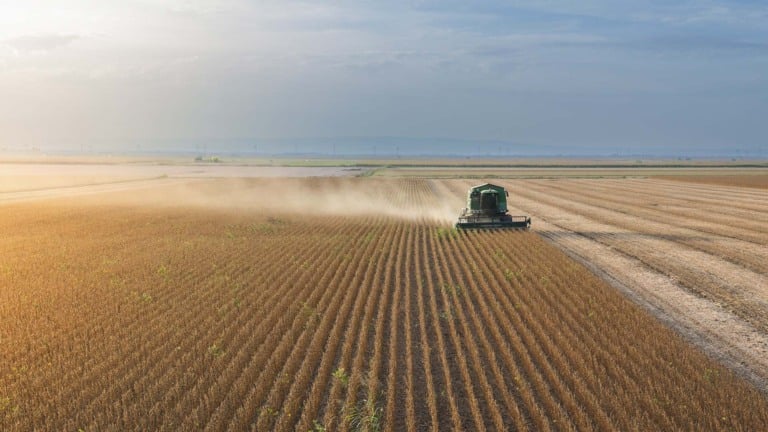 Colheita de soja. BrasilAgro não comprou fazendas em 2025 | Crédito: Schutterstock