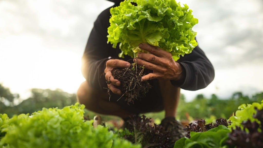 A empresa de fertilizantes de Salto que conquistou investidores europeus; hortifrúti