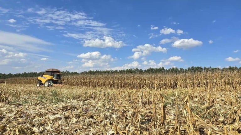 Fazenda Estância, parceira da Bayer em projetos de agricultura regenerativa | Crédito: Divulgação