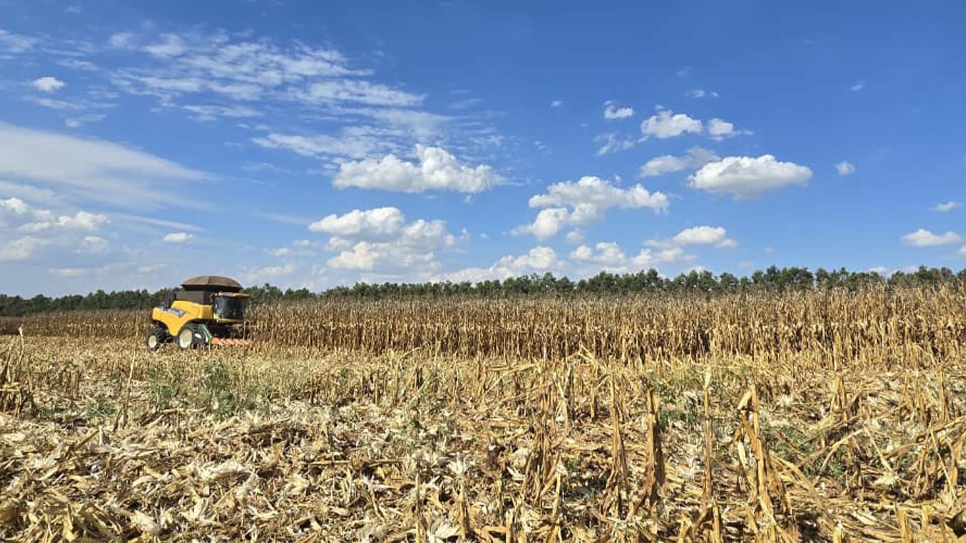 Fazenda Estância, parceira da Bayer em projetos de agricultura regenerativa | Crédito: Divulgação