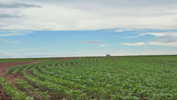 Reverte, Fazenda Biancon