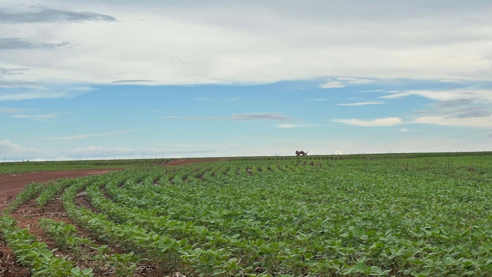 Reverte, Fazenda Biancon