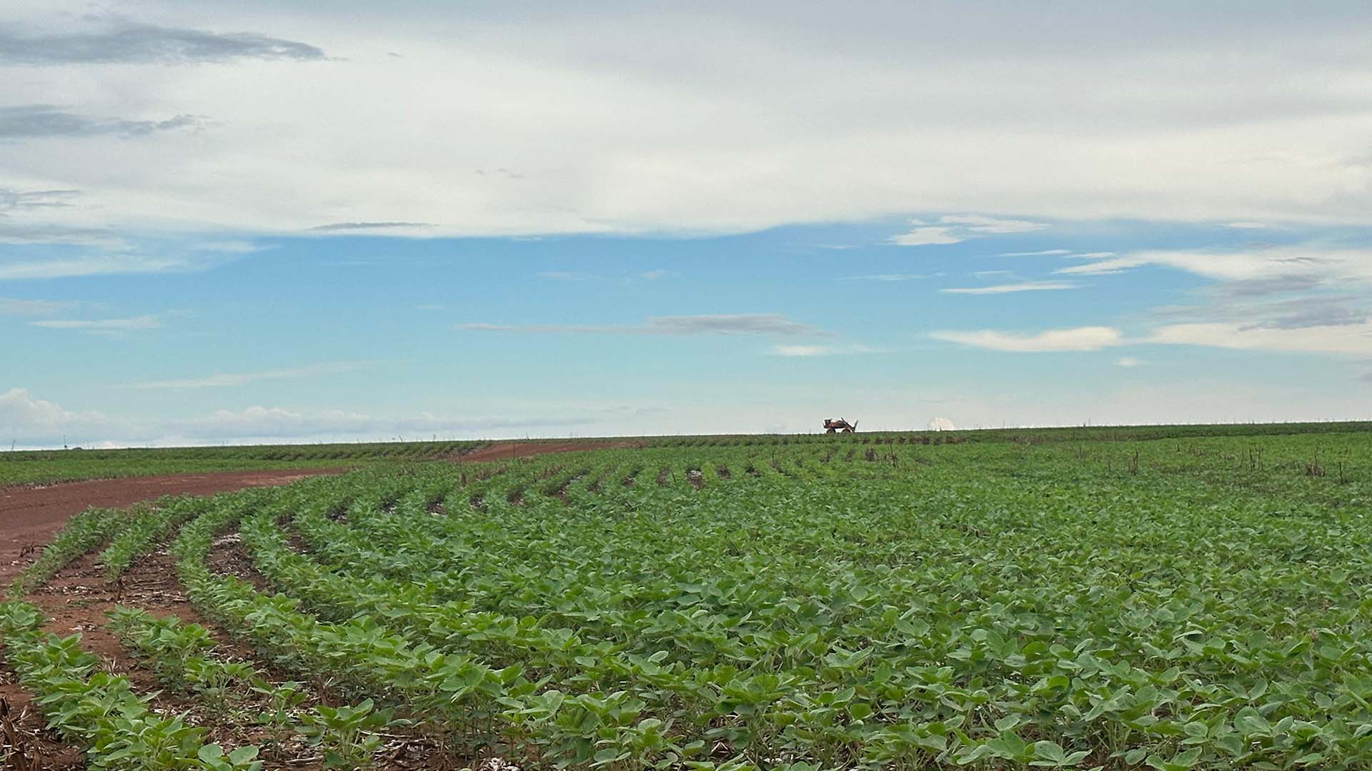 Reverte, Fazenda Biancon