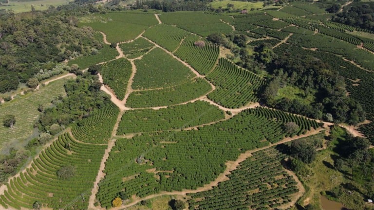 Fazenda Nova Cintra, produtora de café com certificação da Rainforest Alliance em agricultura regenerativa | Crédito: Divulgação