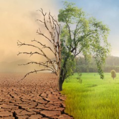 Adaptação climática (metade da nossa sobrevivência) será prioridade na COP30