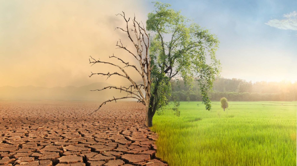 Adaptação climática (metade da nossa sobrevivência) será prioridade na COP30 Adaptação climática (metade da nossa sobrevivência) será prioridade na COP30