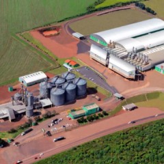 Belagrícola põe sementeira à venda; litígio com a UPL detonou crise