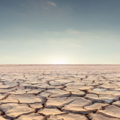 Quando o juro seca o campo