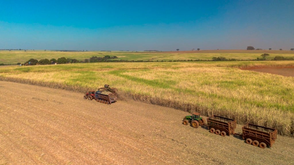 Plantação de cana da Tereos em Olímpia (SP)
