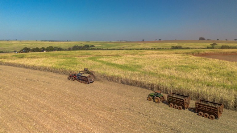 Plantação de cana da Tereos em Olímpia (SP)