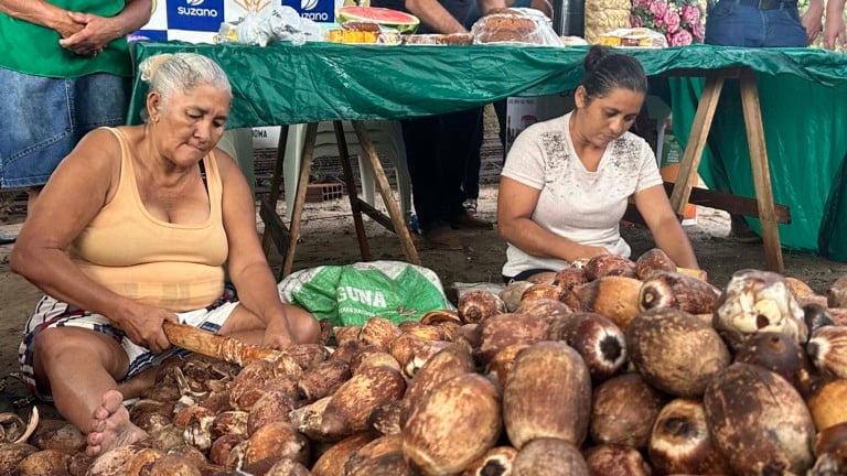 Na terra do babaçu, as quebradeiras cultivam a nova geração