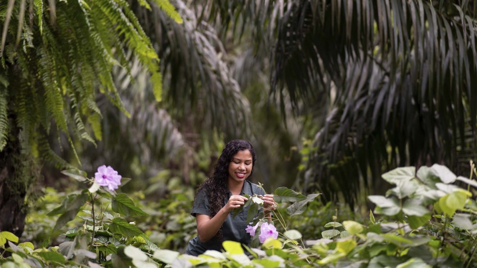 Agropalma comprova eficiência das técnicas naturais no manejo da palma