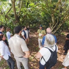 A AgriZone recebeu cerca de 25 mil visitantes de diferentes lugares do mundo durante a COP30 | Crédito: Saulo Coelho/Embrapa