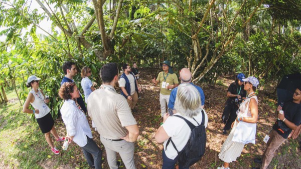 A AgriZone recebeu cerca de 25 mil visitantes de diferentes lugares do mundo durante a COP30 | Crédito: Saulo Coelho/Embrapa