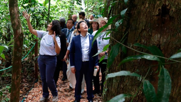Capoeira do Black COP30 Embrapa Amazônia Oriental