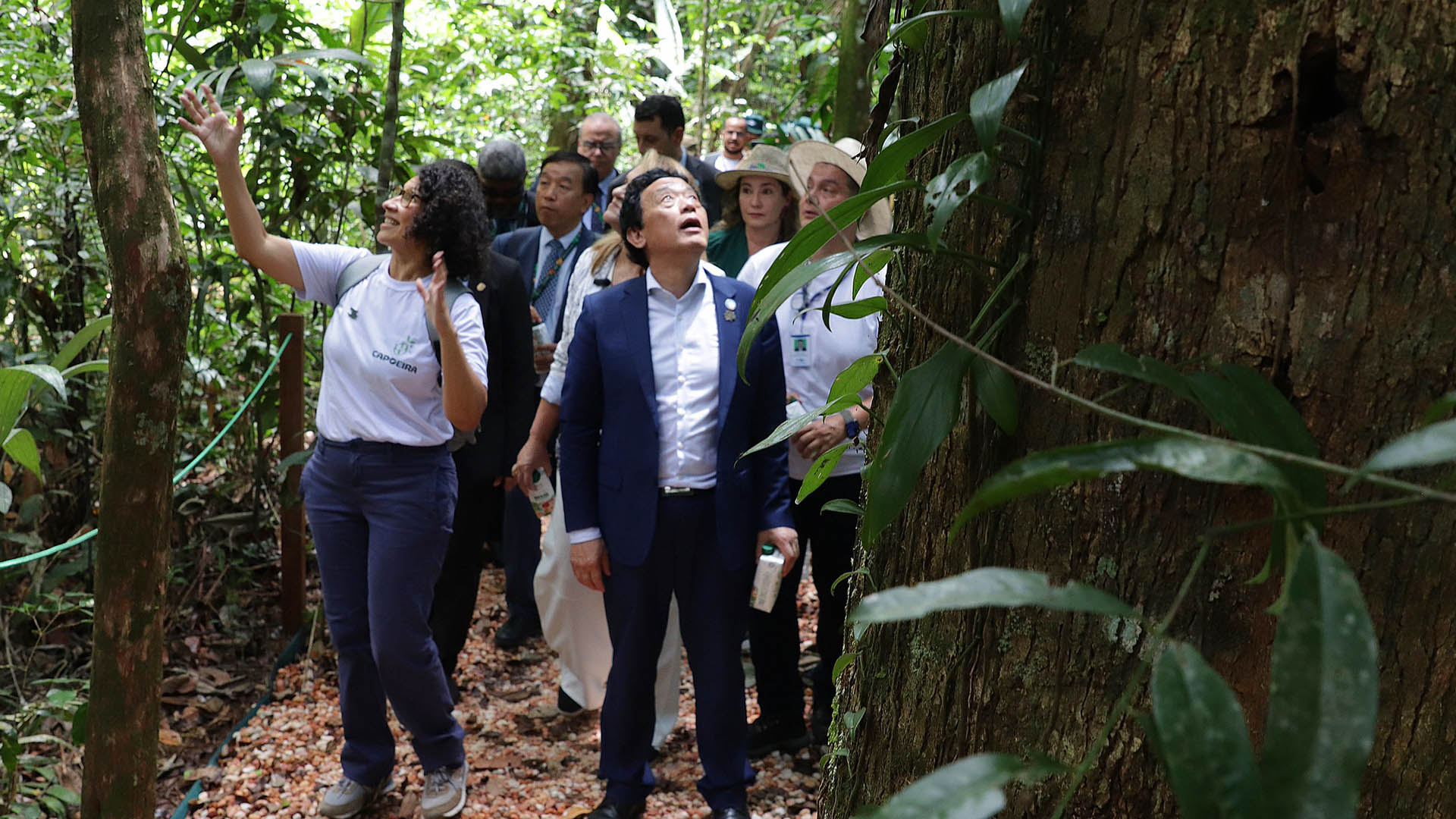 Capoeira do Black COP30 Embrapa Amazônia Oriental