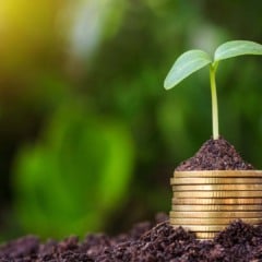 Como aumentar a oferta de crédito para agricultura | Schutterstock