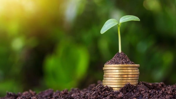 Como aumentar a oferta de crédito para agricultura | Schutterstock