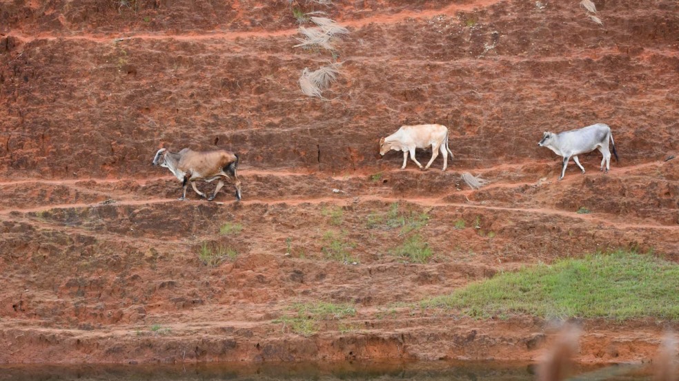 Degradação Degradação