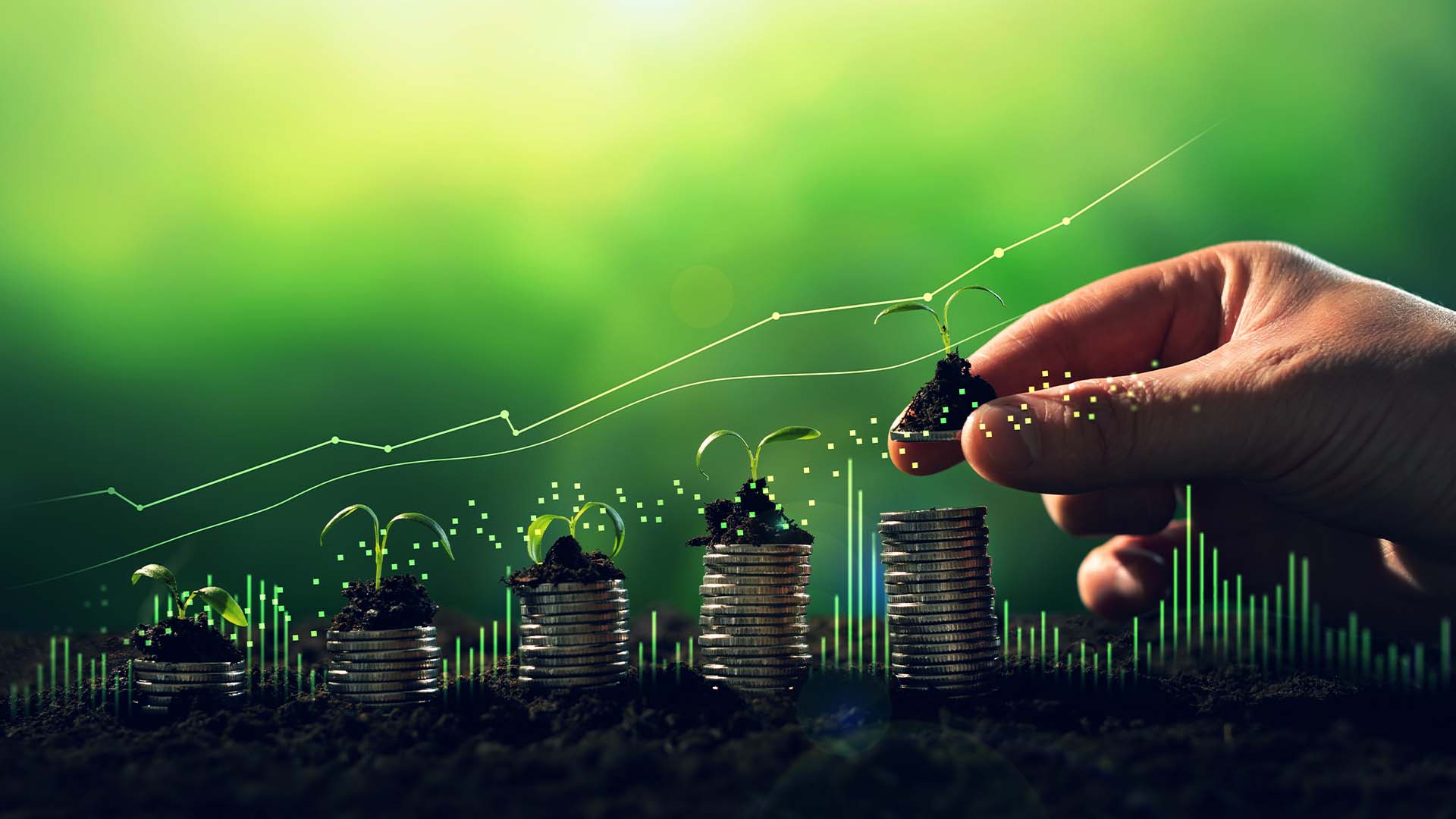 Novo leilão do EcoInvest abre oportunidades para o agro | Crédito: Schutterstock