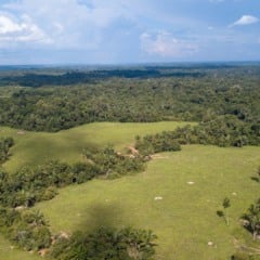 Imagem aérea de floresta e pasto na região amazônica. Reserva legal. Crédito: Schutterstock
