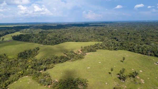 Imagem aérea de floresta e pasto na região amazônica. Reserva legal. Crédito: Schutterstock