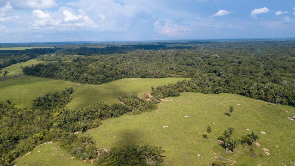 Imagem aérea de floresta e pasto na região amazônica. Reserva legal. Crédito: Schutterstock