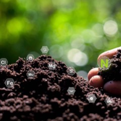 Por que o Brasil deve liderar a transição para agricultura de baixo carbono