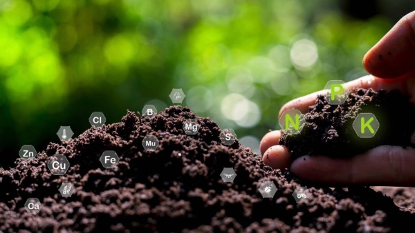 Por que o Brasil deve liderar a transição para agricultura de baixo carbono