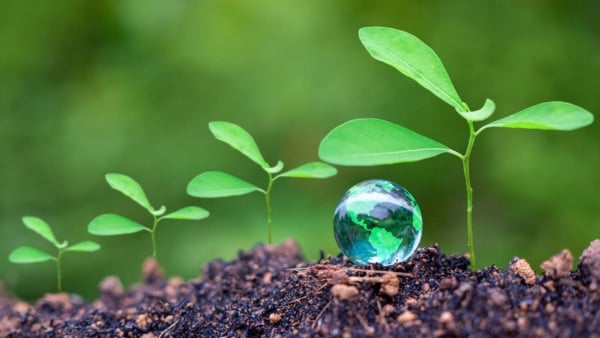 Agro é crucial para descarbonização, diz CEBDS