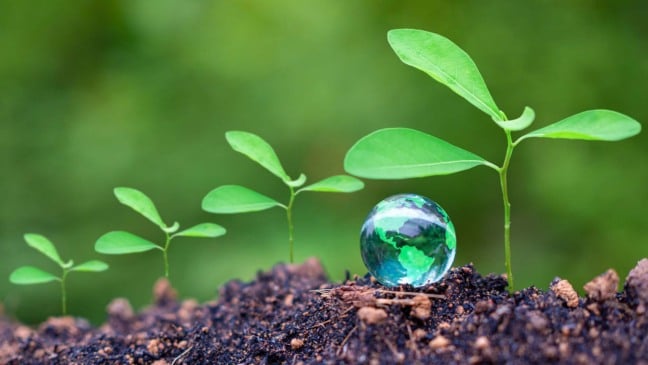 Agro é crucial para descarbonização, diz CEBDS