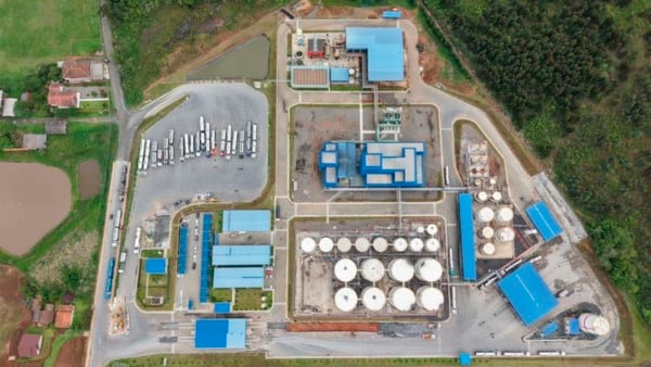 Usinas da Biopower; nova tecnologia vai permitir maior flexibilidade no uso de matérias-primas e reaproveitamento de subprodutos | Divulgação