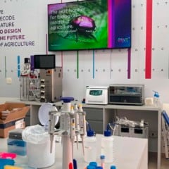 Laborat&oacute;rio da Bsafe